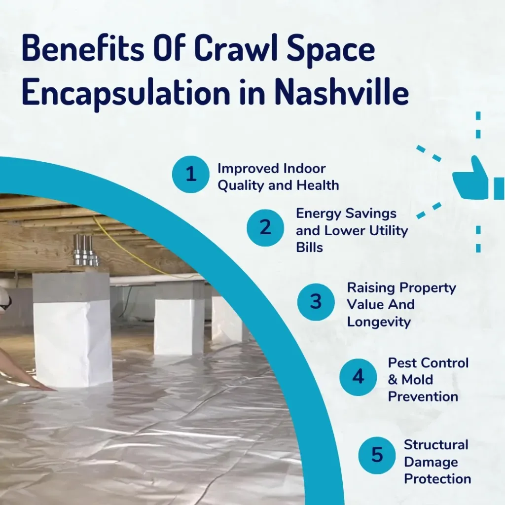 Crawl space project in Savannah